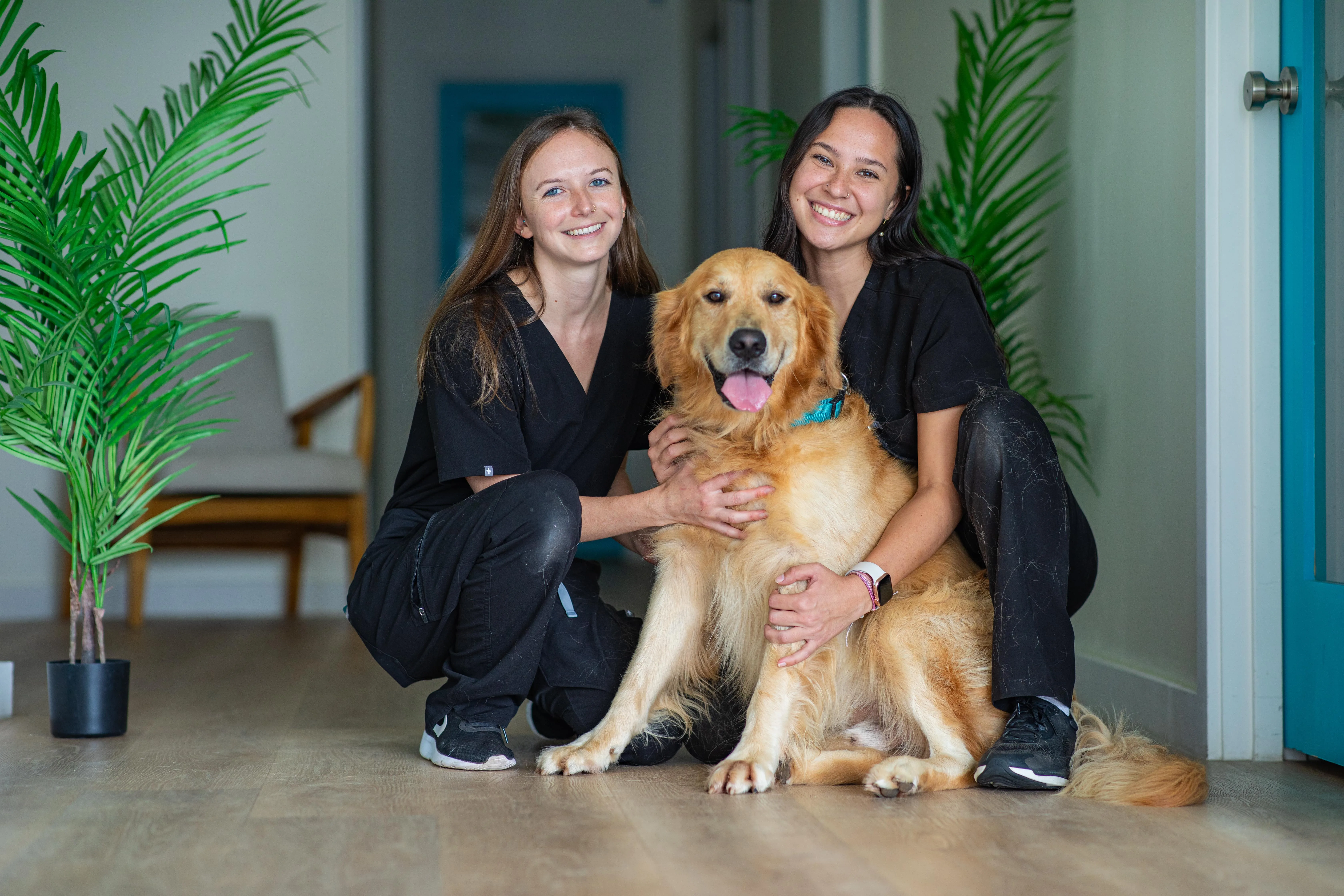 Two veterinary professionals in black scrubs smiling with a golden retriever dog in a welcoming veterinary clinic environment, emphasizing team spirit and animal care at Pilina Vet.