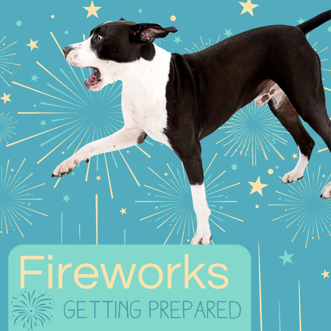 Fireworks: What You Need to Know to Prepare & Protect Your Animal Family Member