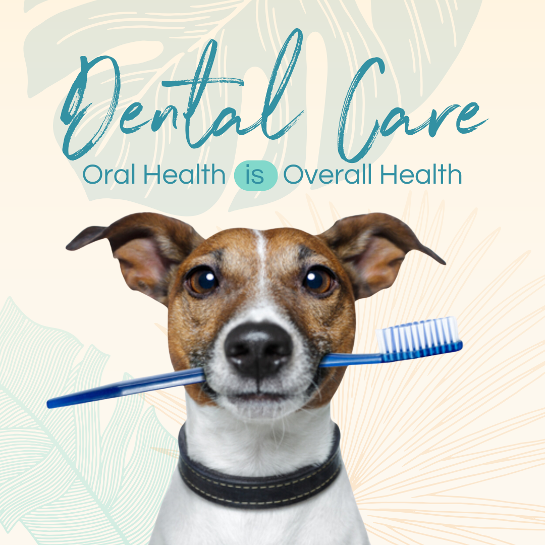 Oral Health is Overall Health