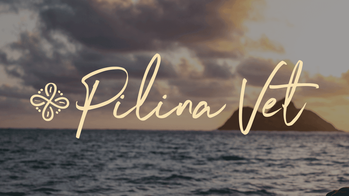 Pilina Vet - Pet Services in Kailua