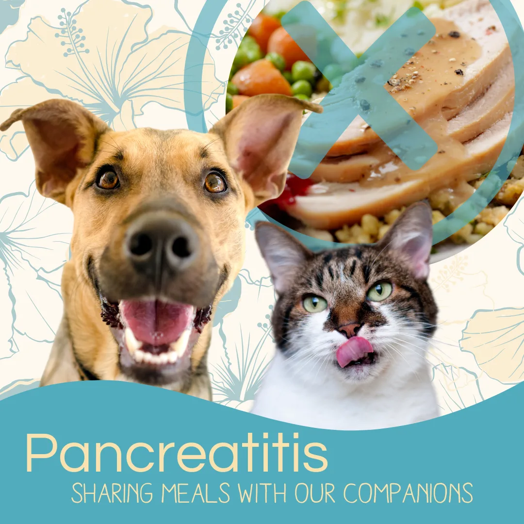 Dog and cat with happy expressions, overlayed with "Pancreatitis" and a crossed-out plate of food, emphasizing safe meal sharing for pets.
