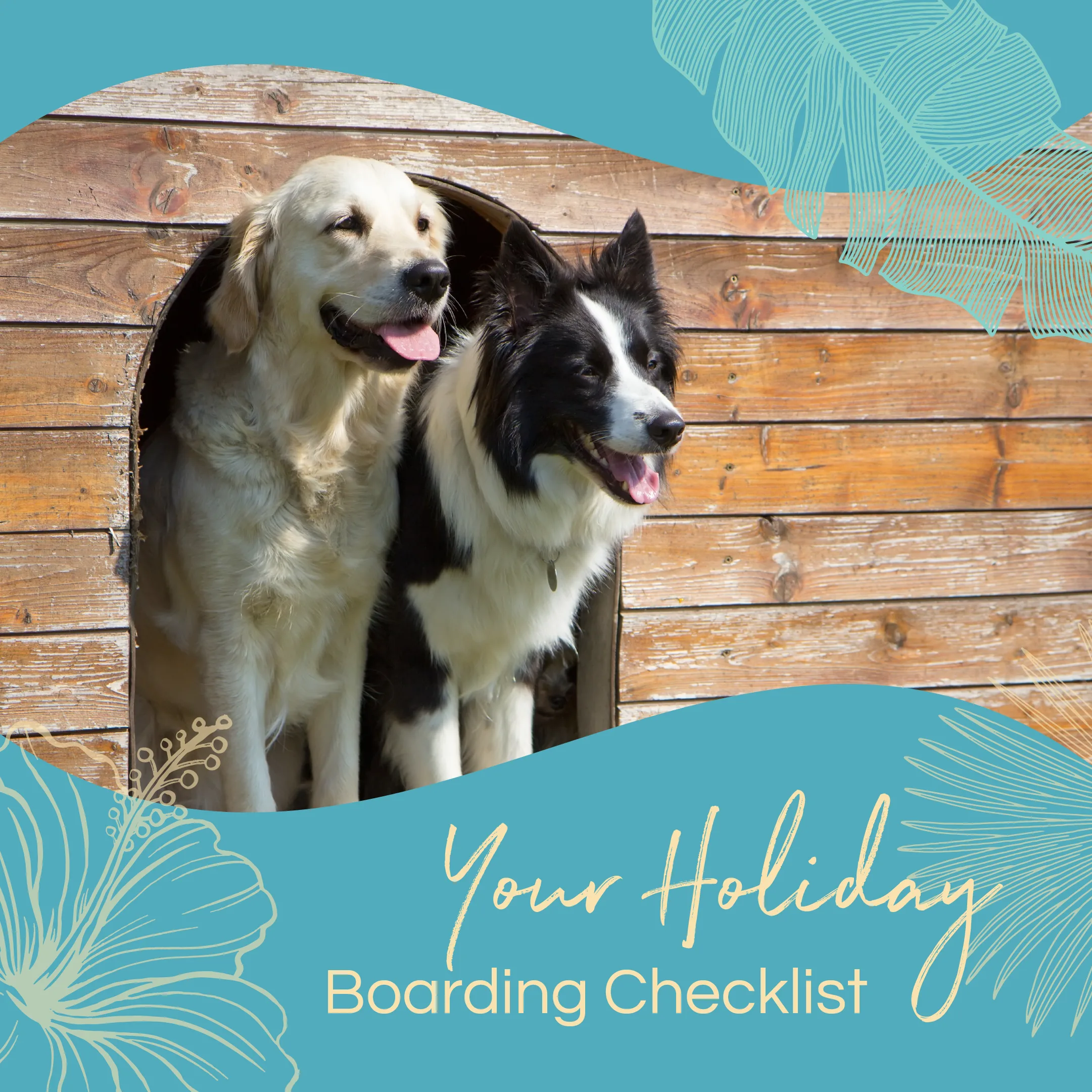 Golden retriever and border collie in a doghouse, featuring "Your Holiday Boarding Checklist" text overlay, emphasizing pet boarding preparations.