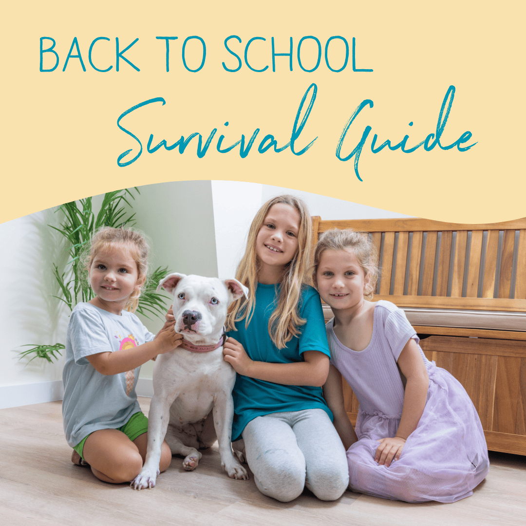 Preparing Pets for Back-to-School: A Guide to Reduce Stress and Boredom