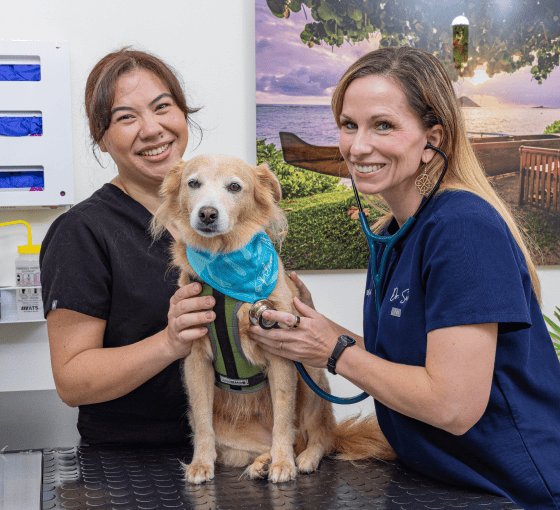 Pilina Vet team members